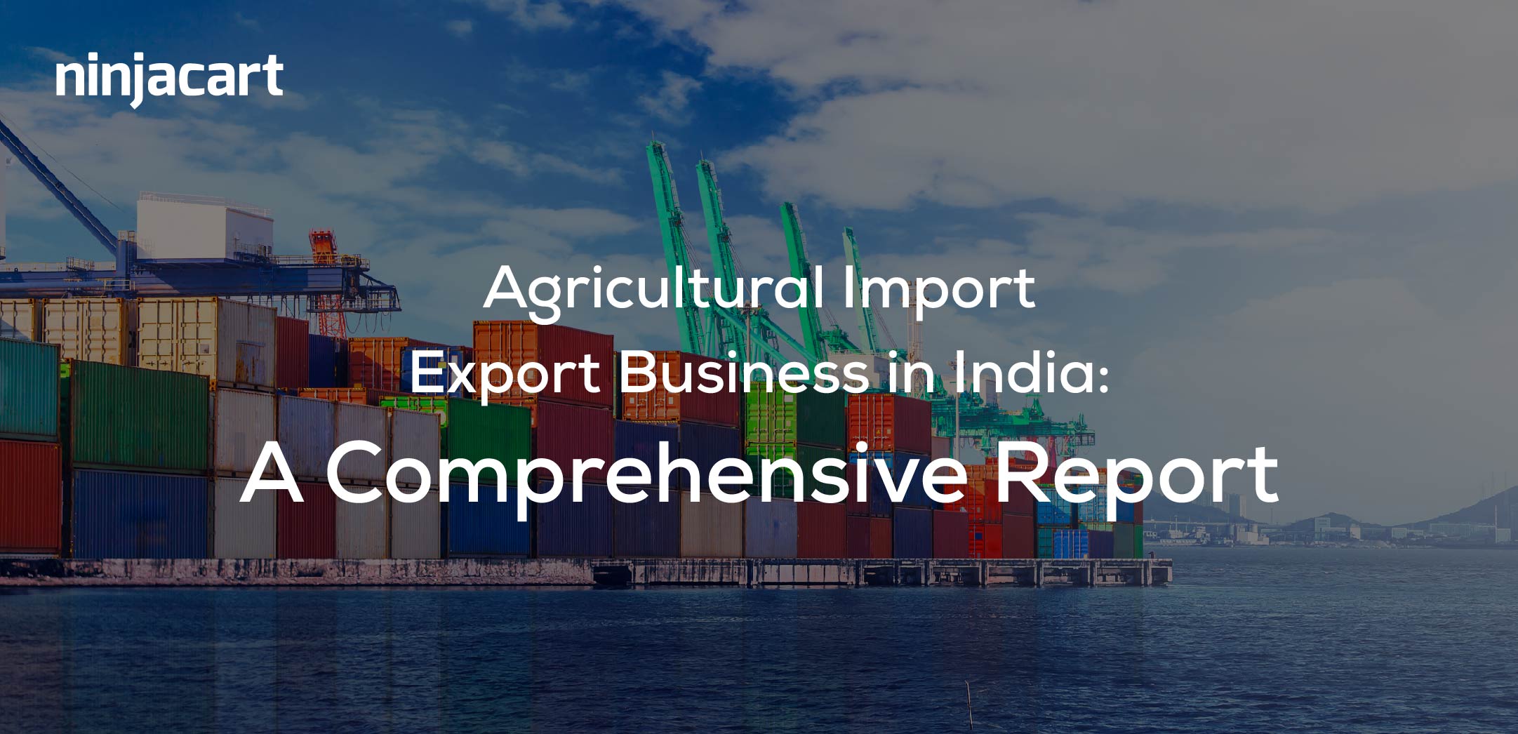 Agricultural Import Export Business in India: A Comprehensive Report